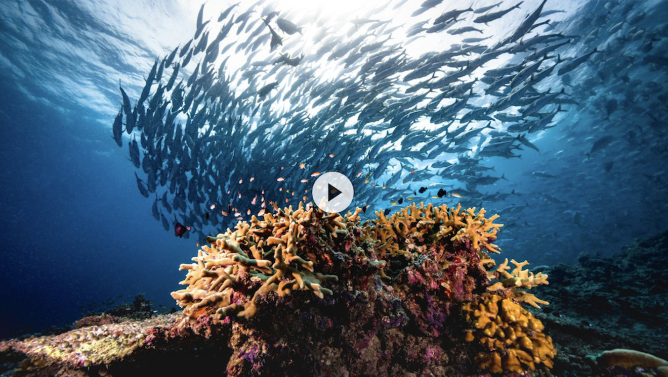 SCIoI members featured in ZDF show TERRA-X with Harald Lesch