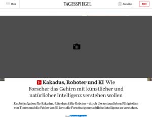 Kakadus, Roboter und KI : Wie Forscher das Gehirn mit künstlicher und natürlicher Intelligenz verstehen wollen
