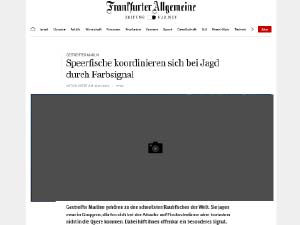 Speerfische koordinieren sich bei Jagd durch Farbsignal