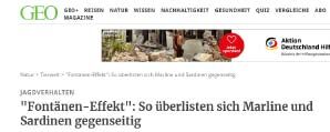 Fontänen-Effekt: So überlisten sich Marline und Sardinen gegenseitig