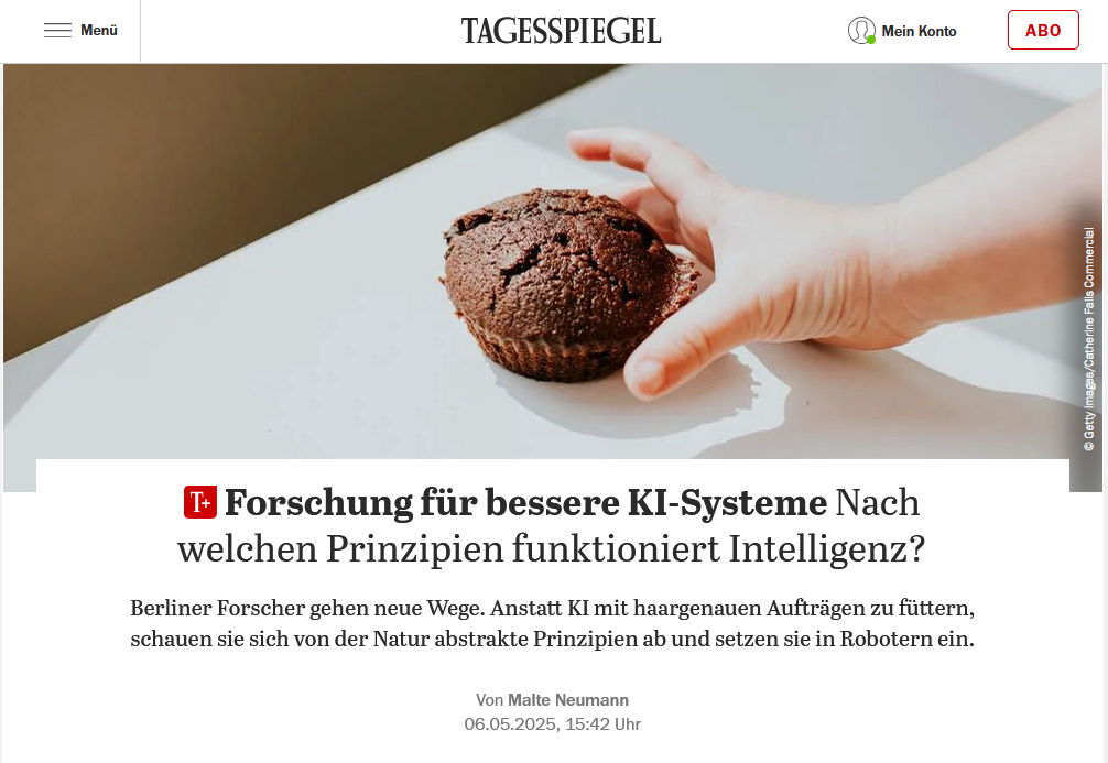 Forschung für bessere KI-Systeme: Nach welchen Prinzipien funktioniert Intelligenz?