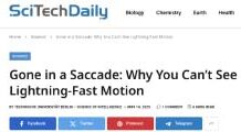 Gone in a Saccade: Why You Can’t See Lightning-Fast Motion* 