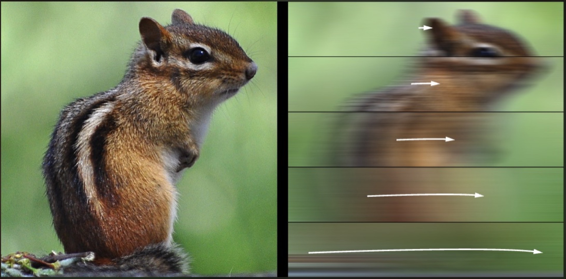 Too fast to see: Eye movements predict speed limits in perception
