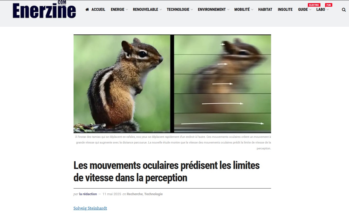 Les mouvements oculaires prédisent les limites de vitesse dans la perception