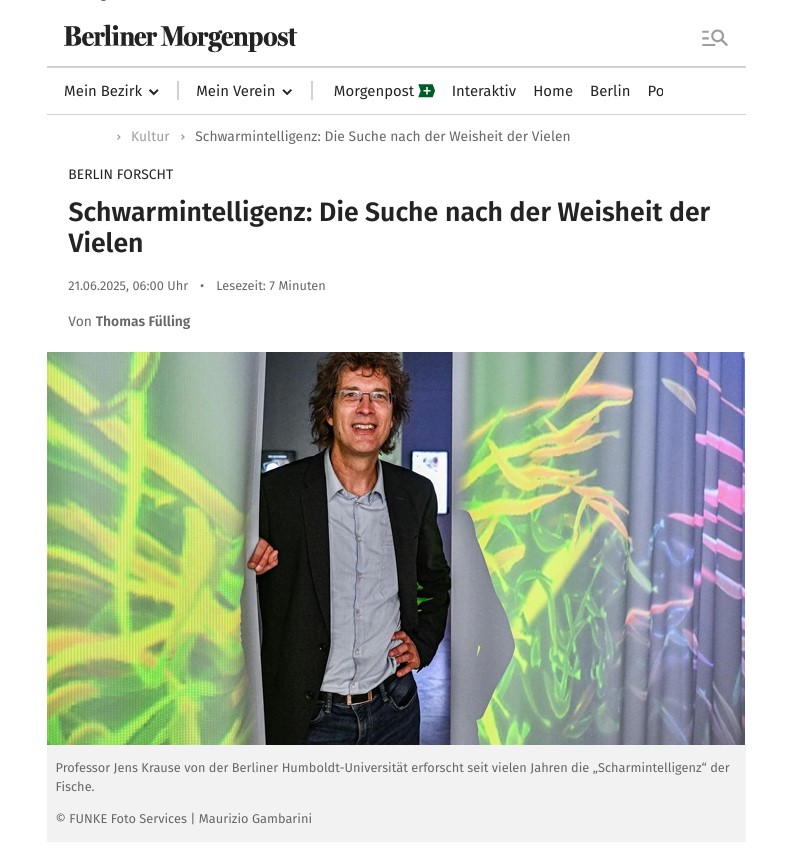 Schwarmintelligenz: Die Suche nach der Weisheit der Vielen