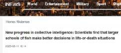 New progress in collective intelligence: Scientists find that larger schools of fish make better decisions in life-or-death situations