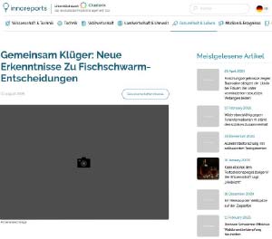 Gemeinsam Klüger: Neue Erkenntnisse Zu Fischschwarm-Entscheidungen