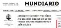 Inteligencia colectiva: cómo los grandes bancos de peces toman mejores decisiones y más rápido