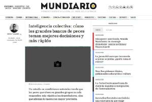 Inteligencia colectiva: cómo los grandes bancos de peces toman mejores decisiones y más rápido