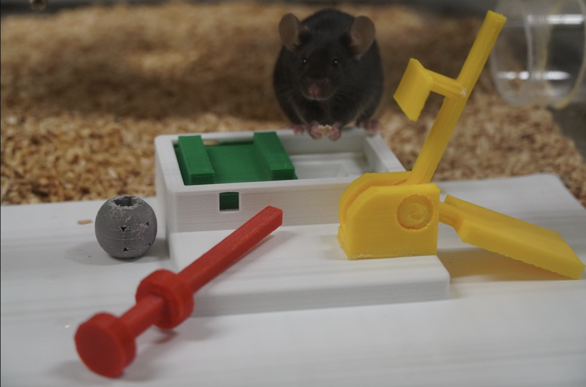 Boosting behavior science with video datasets