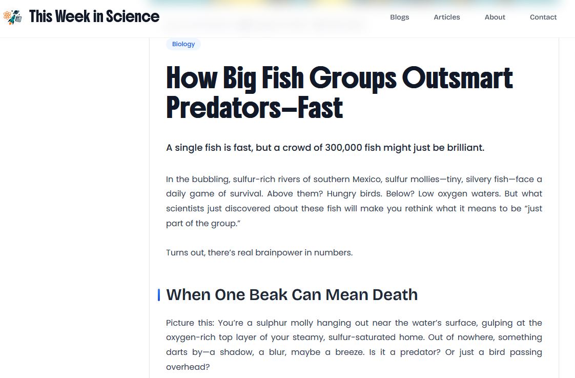 How Big Fish Groups Outsmart Predators—Fast