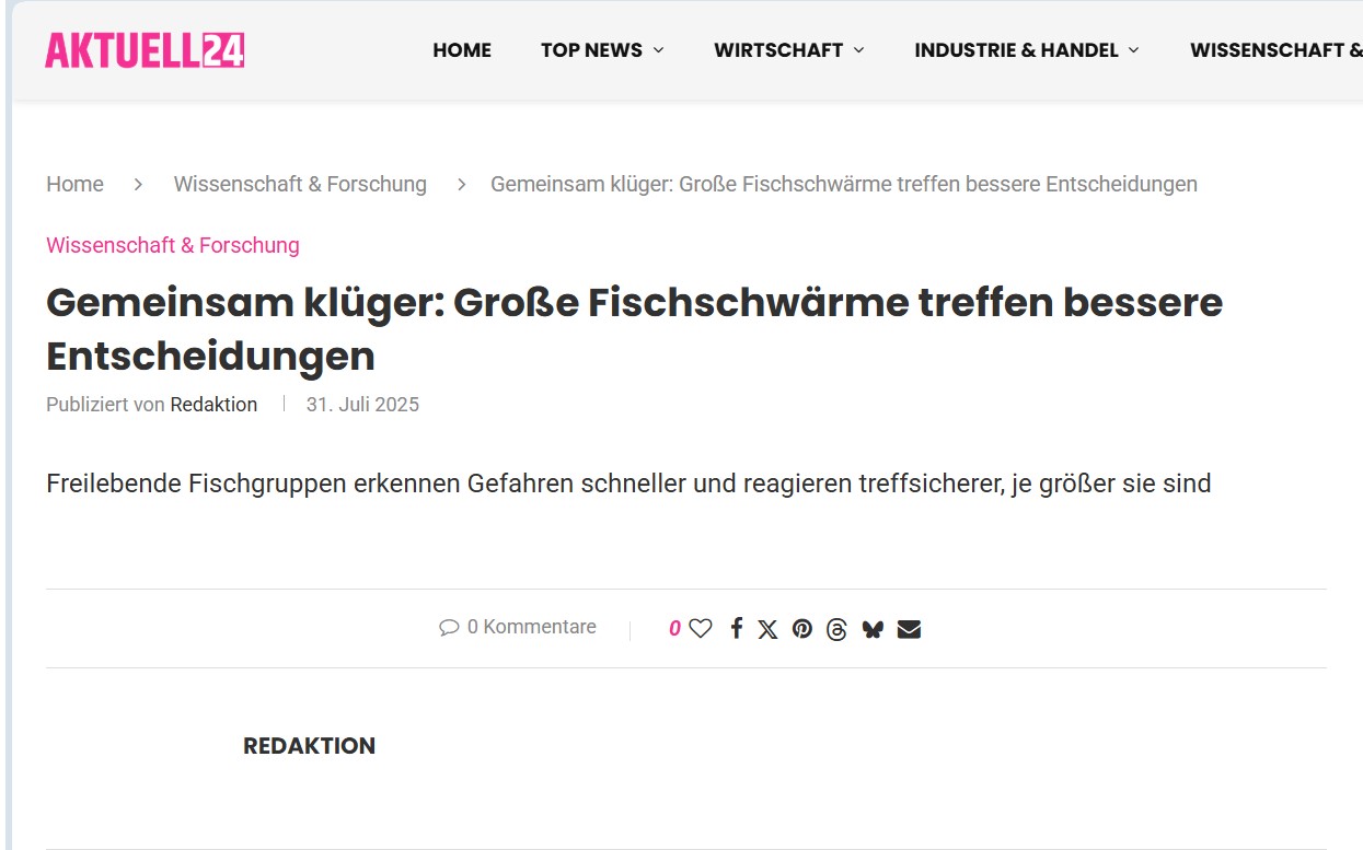 Gemeinsam klüger: Große Fischschwärme treffen bessere Entscheidungen