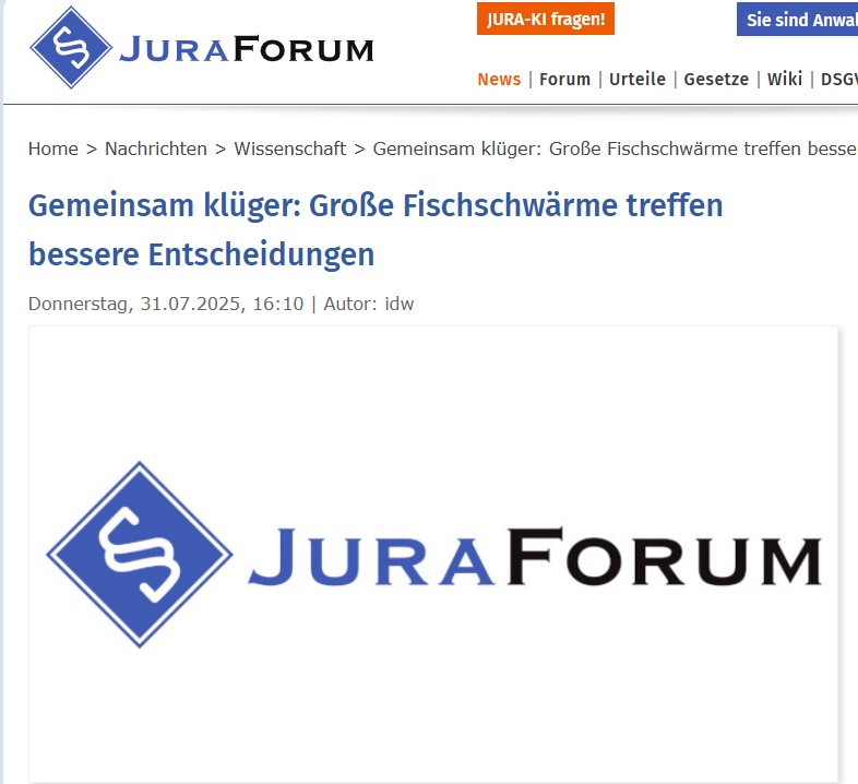 Gemeinsam klüger: Große Fischschwärme treffen bessere Entscheidungen