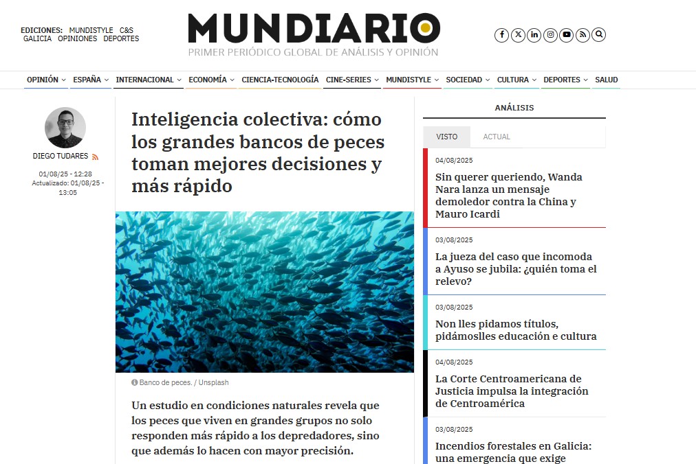 Inteligencia colectiva: cómo los grandes bancos de peces toman mejores decisiones y más rápido