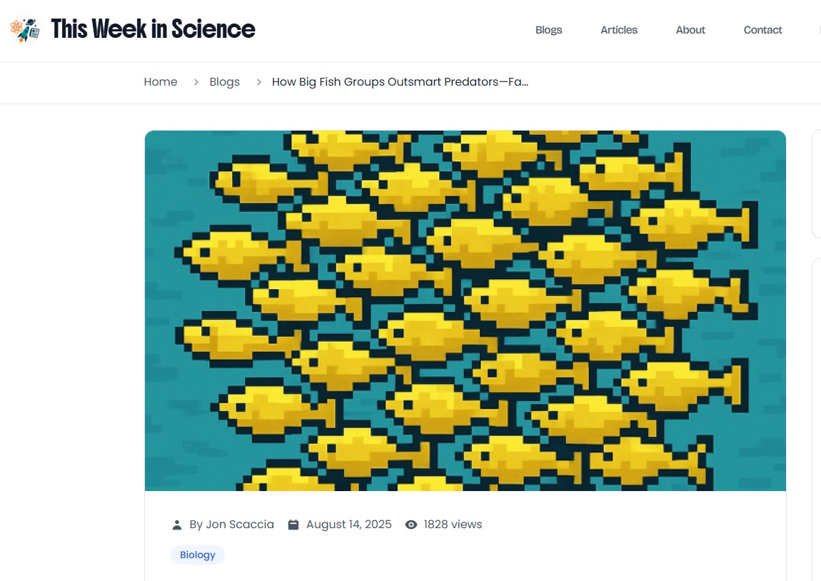 How Big Fish Groups Outsmart Predators—Fast