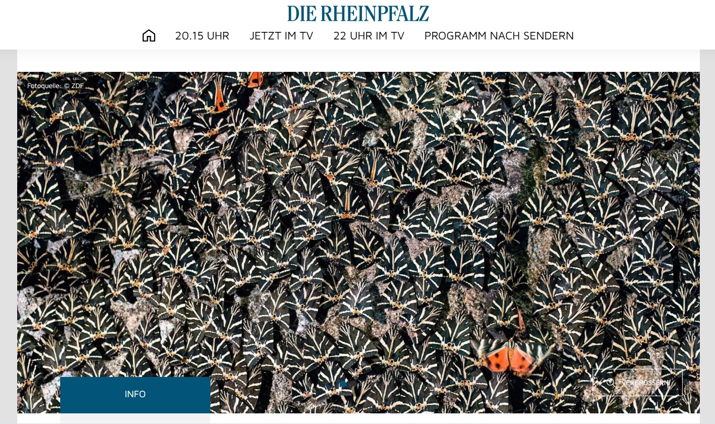 Schlaue Schwärme