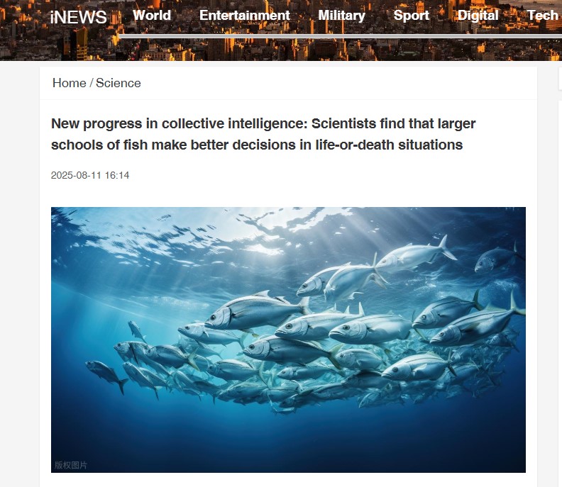 New progress in collective intelligence: Scientists find that larger schools of fish make better decisions in life-or-death situations