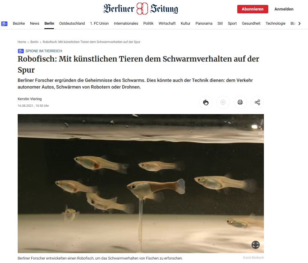 Robofisch: Mit künstlichen Tieren dem Schwarmverhalten auf der Spur