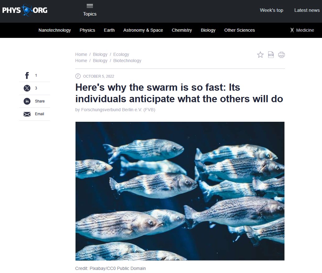 Here's why the swarm is so fast: Its individuals anticipate what the others will do