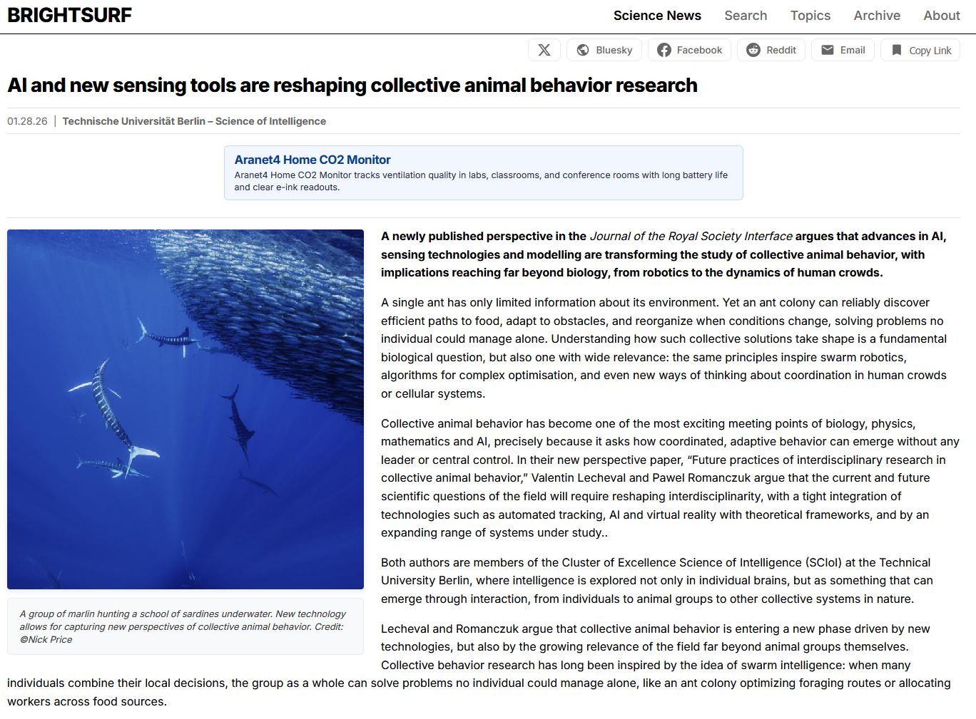 AI and new sensing tools are reshaping collective animal behavior research