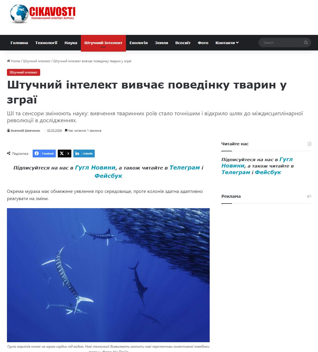 Штучний інтелект вивчає поведінку тварин у зграї