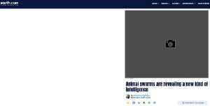 Animal swarms are revealing a new kind of intelligence