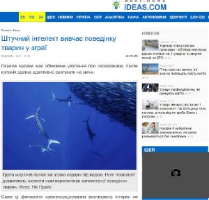 Штучний інтелект вивчає поведінку тварин у зграї