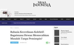 Rahasia Kecerdasan Kolektif: Bagaimana Hewan Memecahkan Masalah Tanpa Pemimpin?