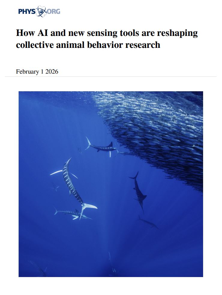 How AI and new sensing tools are reshaping collective animal behavior research
