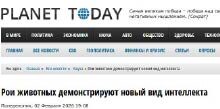 Рои животных демонстрируют новый вид интеллекта