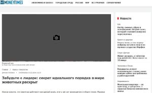 Забудьте о лидере: секрет идеального порядка в мире животных раскрыт