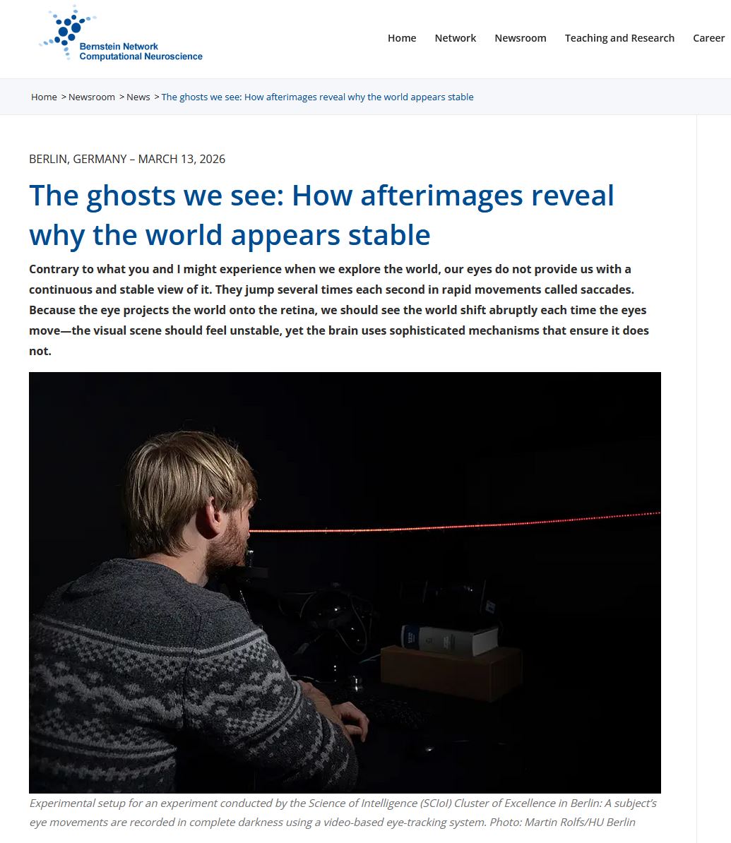 The ghosts we see: How afterimages reveal why the world appears stable