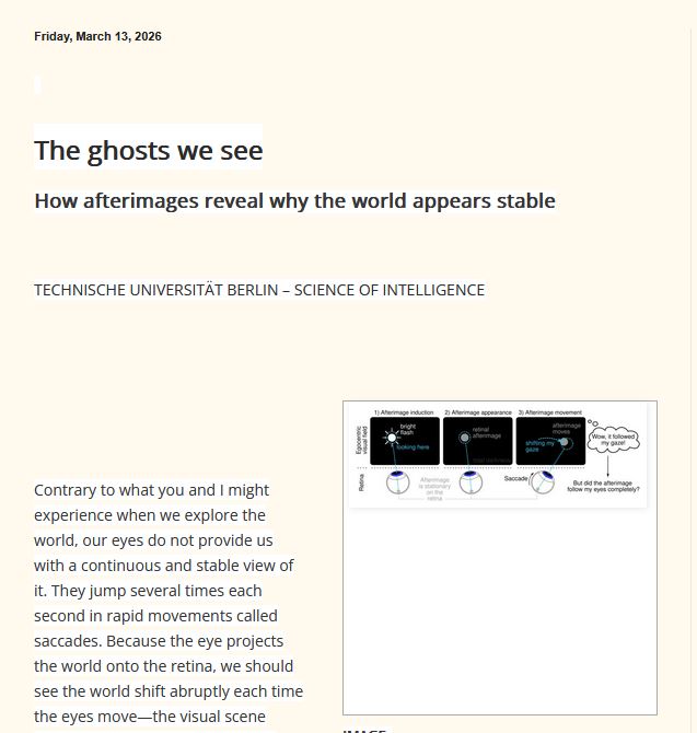 The ghosts we see  How afterimages reveal why the world appears stable