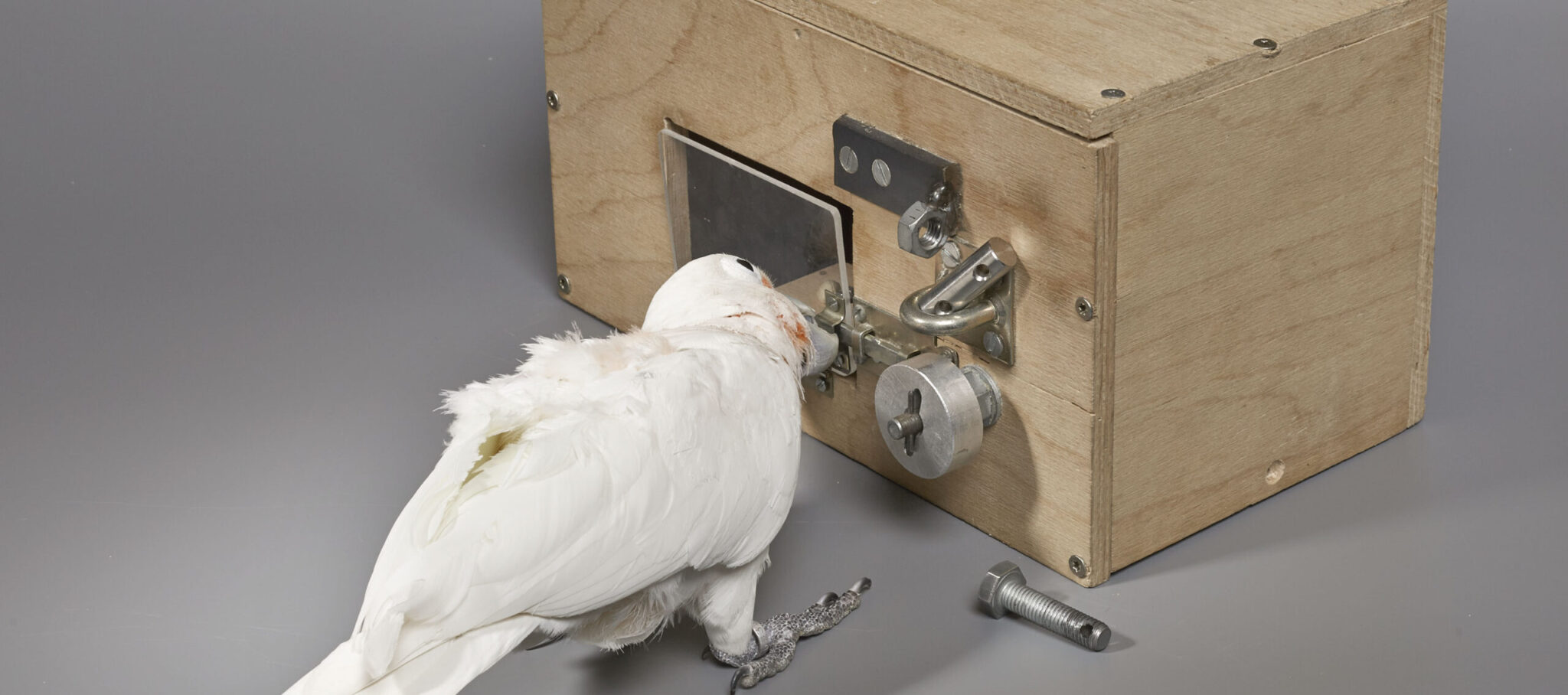 Science of Intelligence presents candidates for universal principles of ...