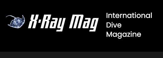 Outsmarting the Predator: Sardines vs Marlin