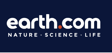 Dance of survival: How sardines outsmart striped marlins in the open ocean